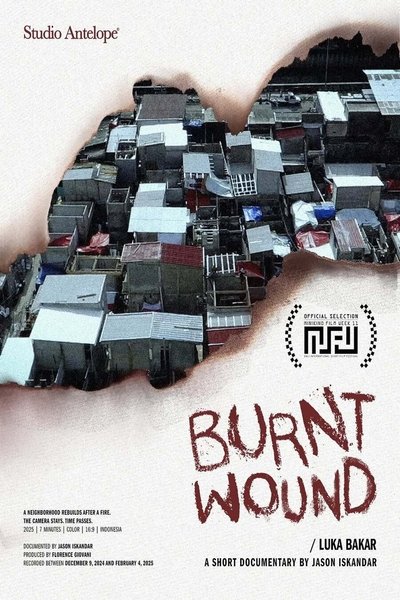 movie poster for Burnt Wound