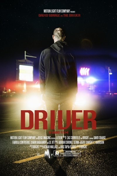 movie poster for DRIVER