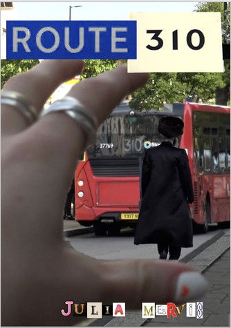 Poster do Filme Route 310