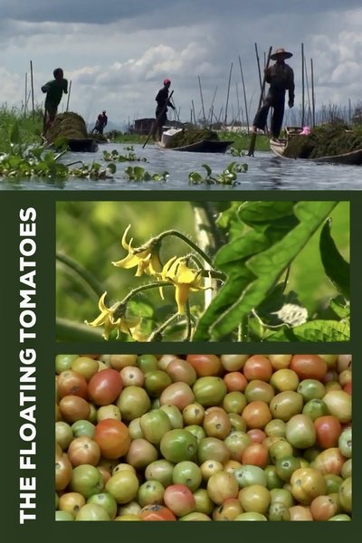 Poster do Filme The Floating Tomatoes