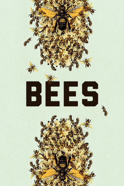 Poster do Filme Bees