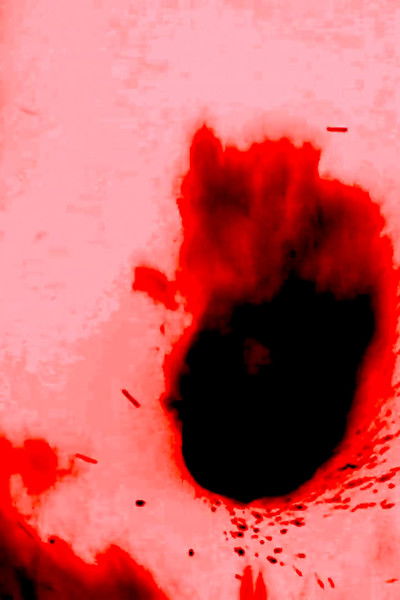 Poster do Filme Black Fire Sun