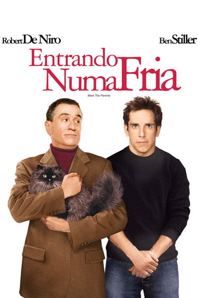 Poster do Filme Entrando Numa Fria