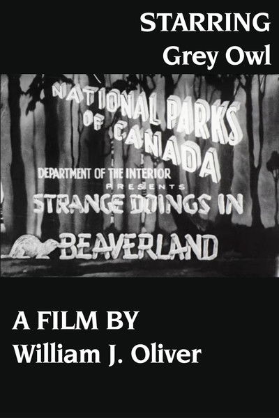 Poster do Filme Strange Doings in Beaverland