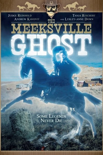 The Meeksville Ghost poster The Meeksville Ghost