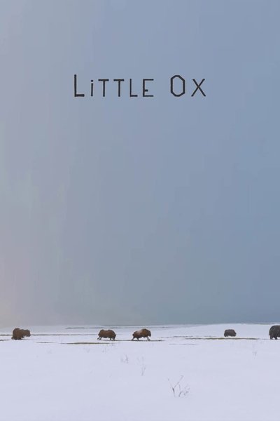 Poster do Filme Little Ox