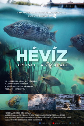 Poster do Filme Hévíz − Dzsungel a víz alatt