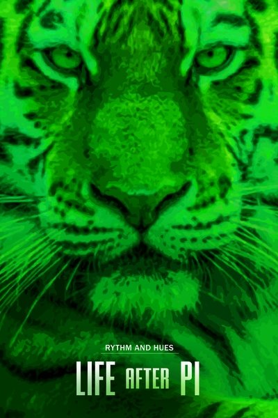 Life After Pi poster Life After Pi