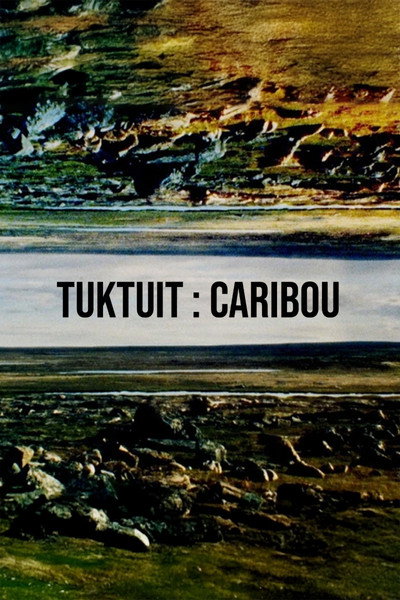 Poster do Filme Tuktuit: Caribou