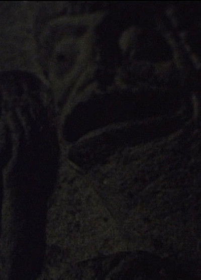 movie poster for Forms Are Not Self-Subsistent Substances