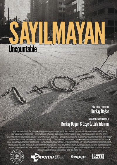Sayılmayan