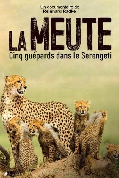 Poster do Filme Die fünf Geparde - Gemeinsam durch die Serengeti