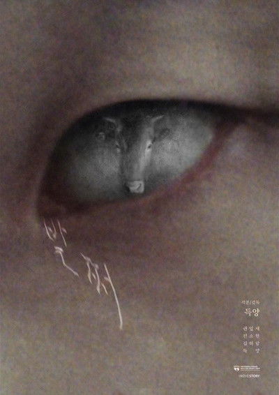 Poster do Filme 발쩌