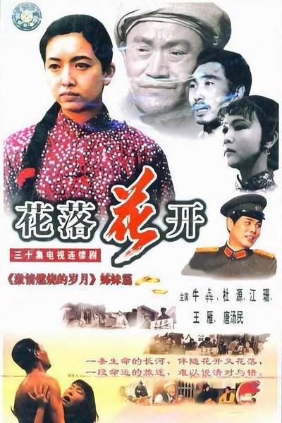 poster for 花落花开
