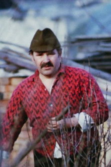 Poster do Filme Aedniku kevad