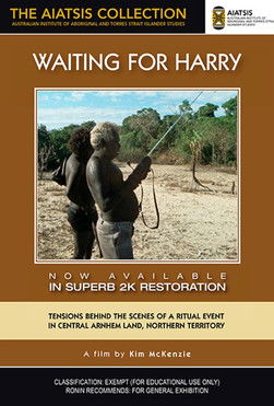 Poster do Filme Waiting for Harry