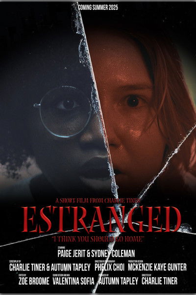 Poster do Filme Estranged