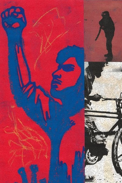 Poster do Filme Hasina - 36 Days in July