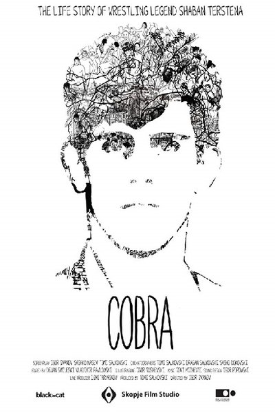 Poster do Filme Кобра