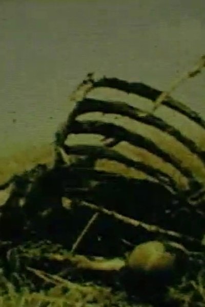 movie poster for C’est la vie