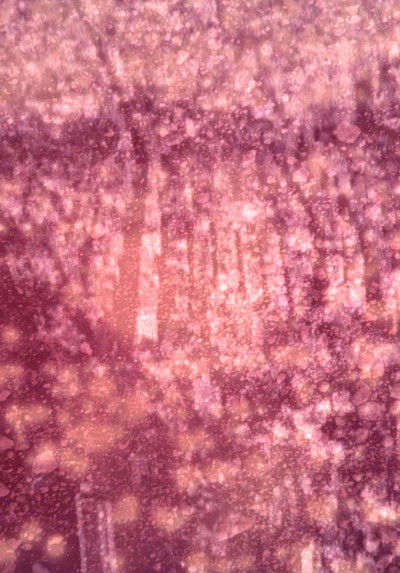 Poster do Filme Generator