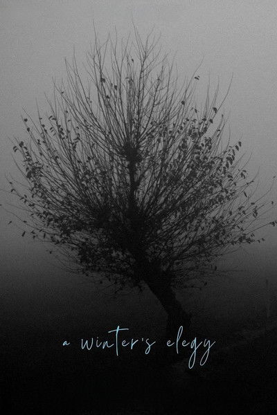 Poster do Filme A Winter’s Elegy