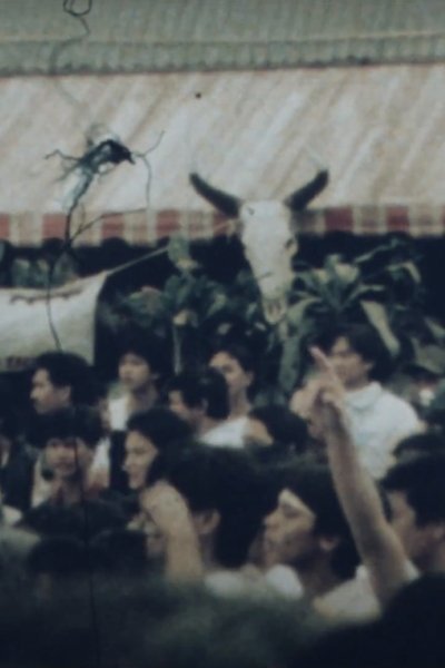 Poster do Filme Dumi