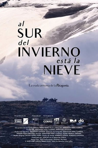 Poster do Filme South of Winter Lies the Snow