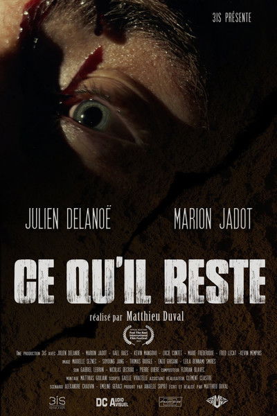 Poster do Filme Ce qu'il reste