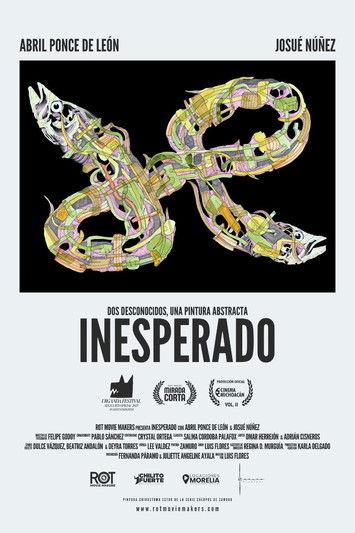 Poster do Filme Inesperado