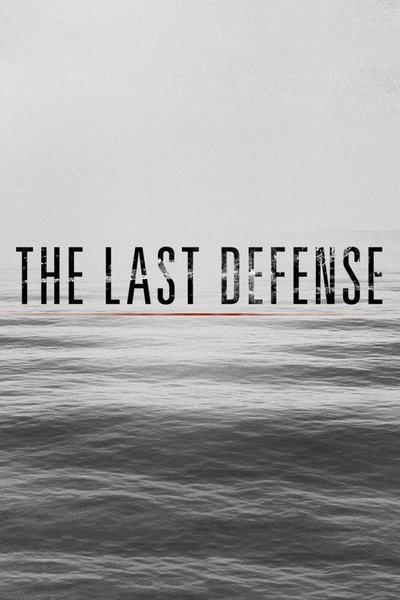 poster for The Last Defense