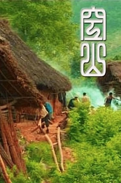 Poster do Filme 空山