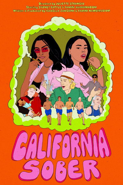 Poster do Filme California Sober