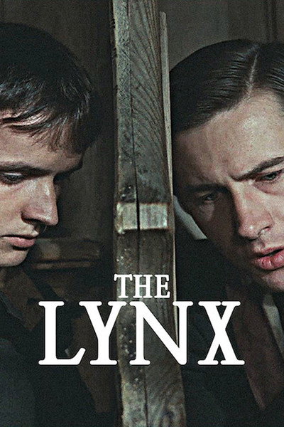 The Lynx