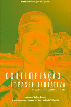 Poster do Filme Contemplação Impasse Tentativa