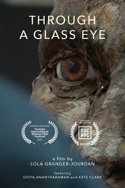 Poster do Filme Through a Glass Eye