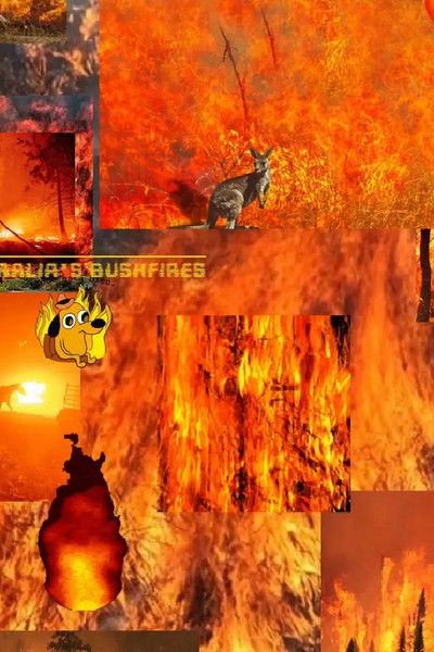 movie poster for www.s-n-d.si