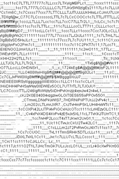 Poster do Filme The Death of Natural Language