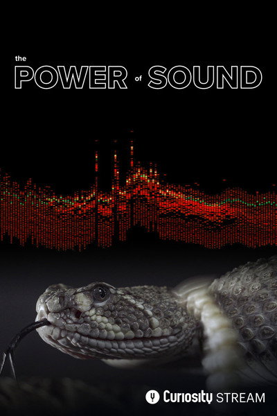 The Power of Sound