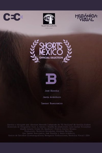 movie poster for B