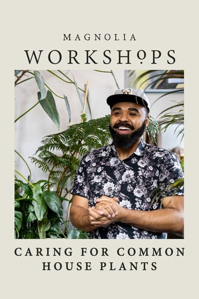 Magnolia Workshops: Caring for Common Houseplants TV Show Poster