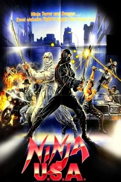 Poster for the movie Ninja USA