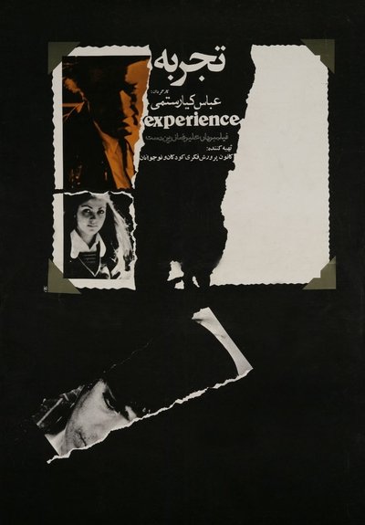 Poster do Filme A Experiência