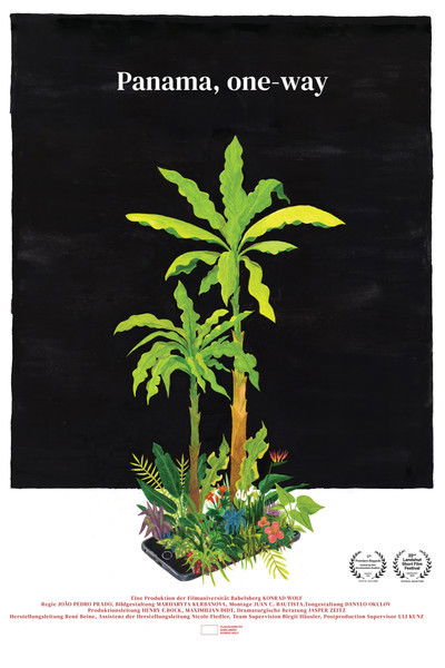movie poster for Panama, One-Way