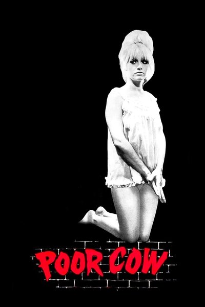 Watch Now!Poor Cow Movie Online Free Torrent
