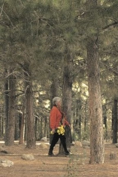 Poster do Filme The Path