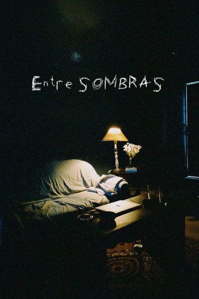 Poster do Filme Entre sombras
