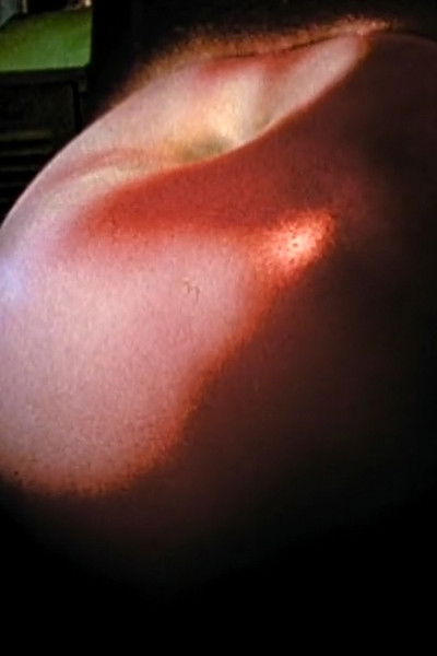 Poster do Filme Apple Summer