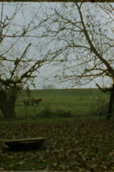 movie poster for Landscape as Landscape - 22