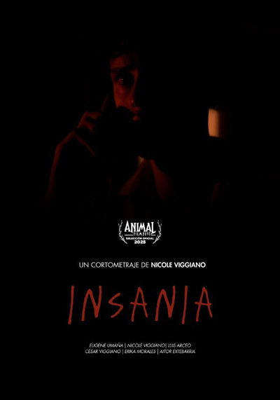Poster do Filme Insania